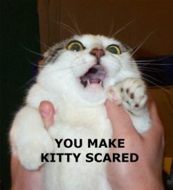 $kittyscared.jpg