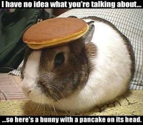 $pancakebunny.jpg