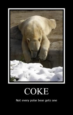 $Funny_polar_bear_poster_2_by_Luckypanic.jpg