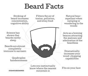 $the truth of beards.png