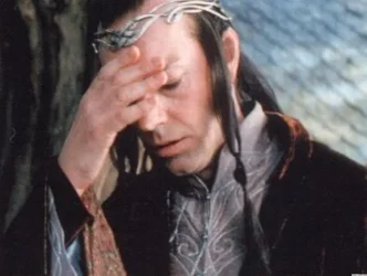 elrond_does_a_facepalm__by_ivyrose96-d6i4fxx.webp