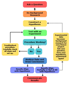 2013-updated_scientific-method-steps_v6_noheader.webp