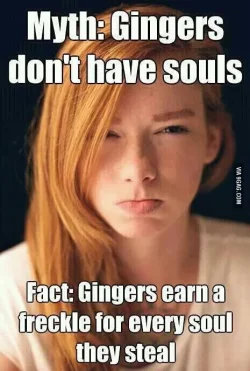 Ginger Meme.webp