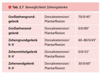 Tabelle_Zehen.webp
