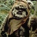 $ewok.jpg