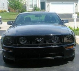 $mini-mini-Mustang 32006-08-07Mustang 3.JPG