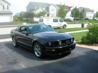 $mini-Mustang 62006-08-07Mustang 6.JPG