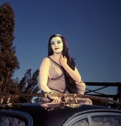 $lily munster.jpg