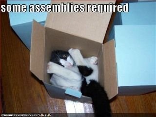 $Assembly Required.jpg