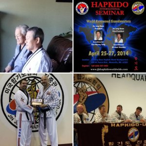 Jin Jung Kwan Hapkido