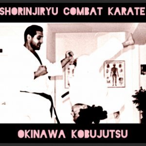 SANCHIN  KATA  Okinawa Shorinjiryu Combat Karate Kobujutsu