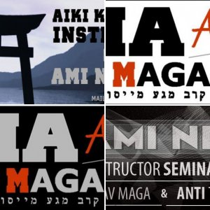 Security, Law Enforcement and Military Division krav maga