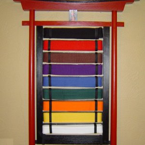 Belt display