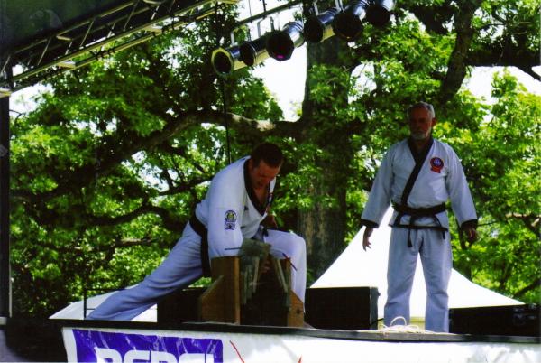 multiculturalfair knife hand break '09