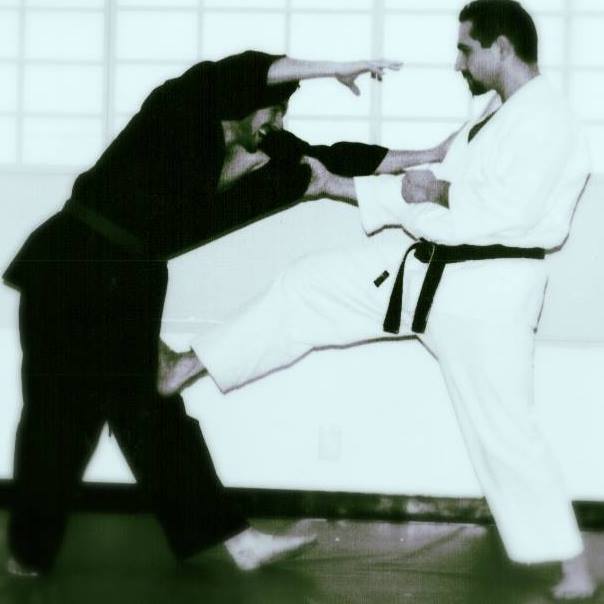 Okinawa Kenpo