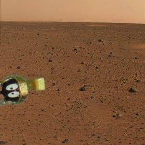 mars-memes-04.jpg