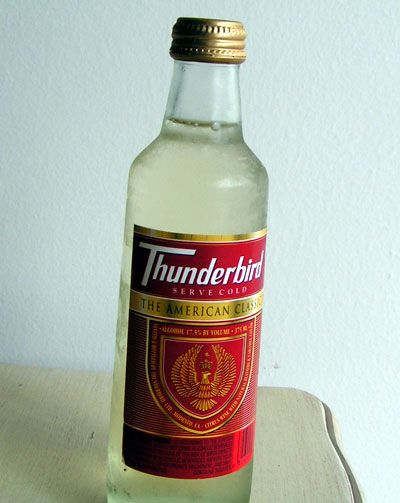 thunderbird10fm.jpg