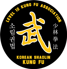 level-10-kung-fu-association.myshopify.com